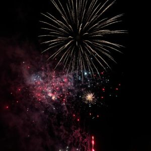 Profile photo of megandianarolivergmail-com