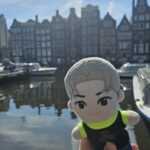 Profile photo of travelwalker