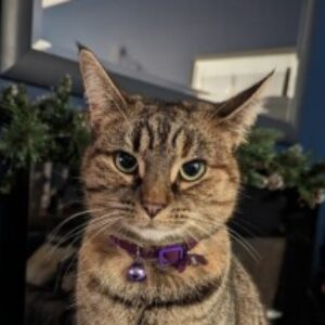 Profile photo of Dawn-Leigh