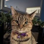 Profile photo of dawnleigh