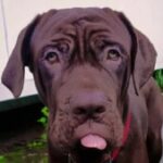 Profile photo of tiee
