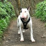 Profile photo of Hank