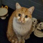 Profile photo of katy-winter