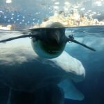 Profile photo of Suzanne