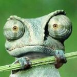 Profile photo of airport