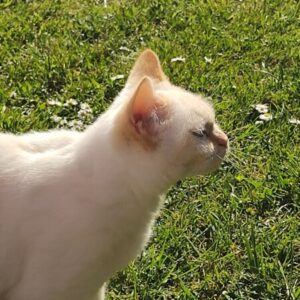 Profile photo of dawnstrangy