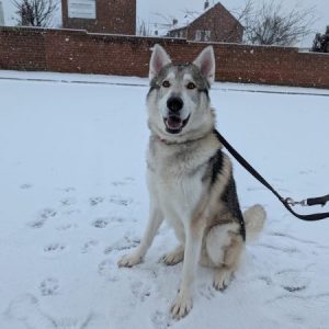 Profile photo of elliemay98