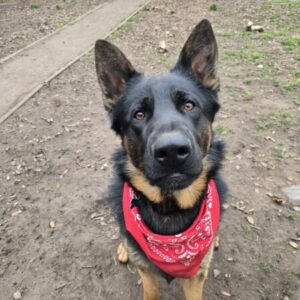 Profile photo of Jonsey