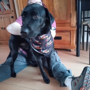 Profile photo of Artemis