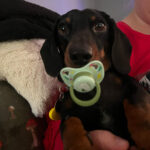 Profile photo of Kaylee