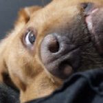 Profile photo of zoe-