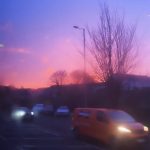 Profile photo of HoneyPiglet