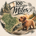 Profile photo of Ginger-en-ik