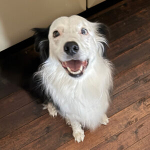 Profile photo of Susan Hatton