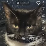 Profile photo of Peyton17