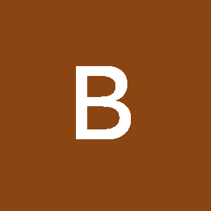 Profile photo of blorstad