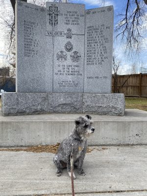 F20D745F-0711-4B48-8EDF-022CFE2EA6D6